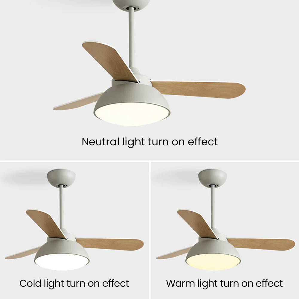 Modern Simple Flush Ceiling Fan With LED Lighting - Image 15